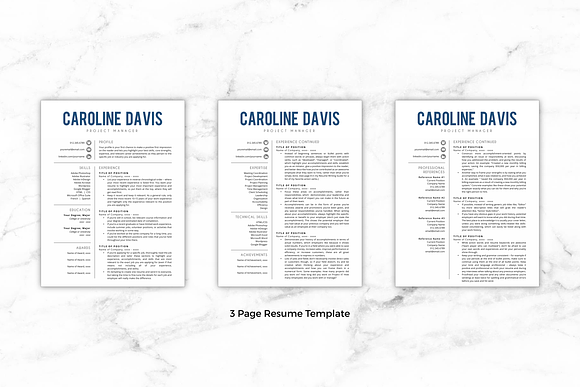 Modern Resume - Caroline in Resume Templates - product preview 2