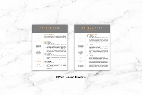CV Template/Resume - Bailey in Resume Templates - product preview 1