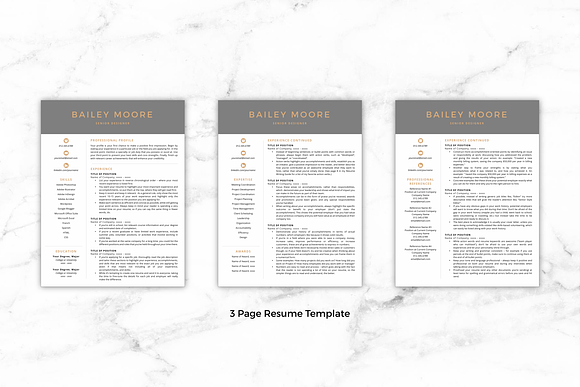 CV Template/Resume - Bailey in Resume Templates - product preview 2
