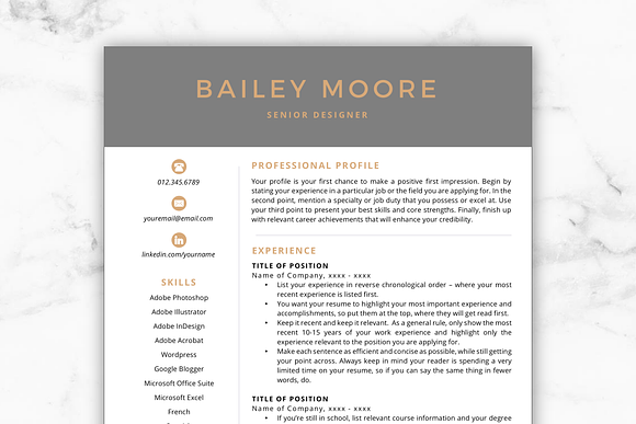 CV Template/Resume - Bailey in Resume Templates - product preview 9
