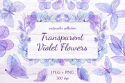Transparent Violet Flowers