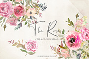 The Rose Watercolor Floral Clipart