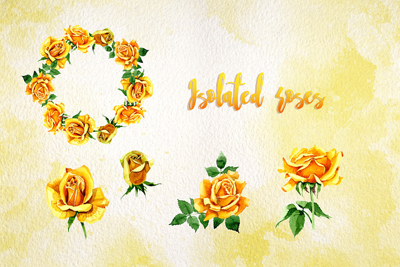 Yellow Roses PNG watercolor set in Illustrations - product preview 3