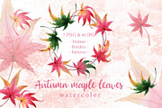 Autumn maple leaves PNG watercolor