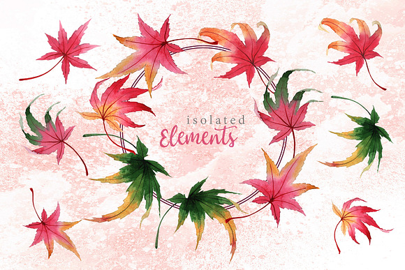 Autumn maple leaves PNG watercolor in Illustrations - product preview 6