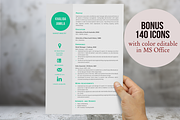 Big icon modern resume template