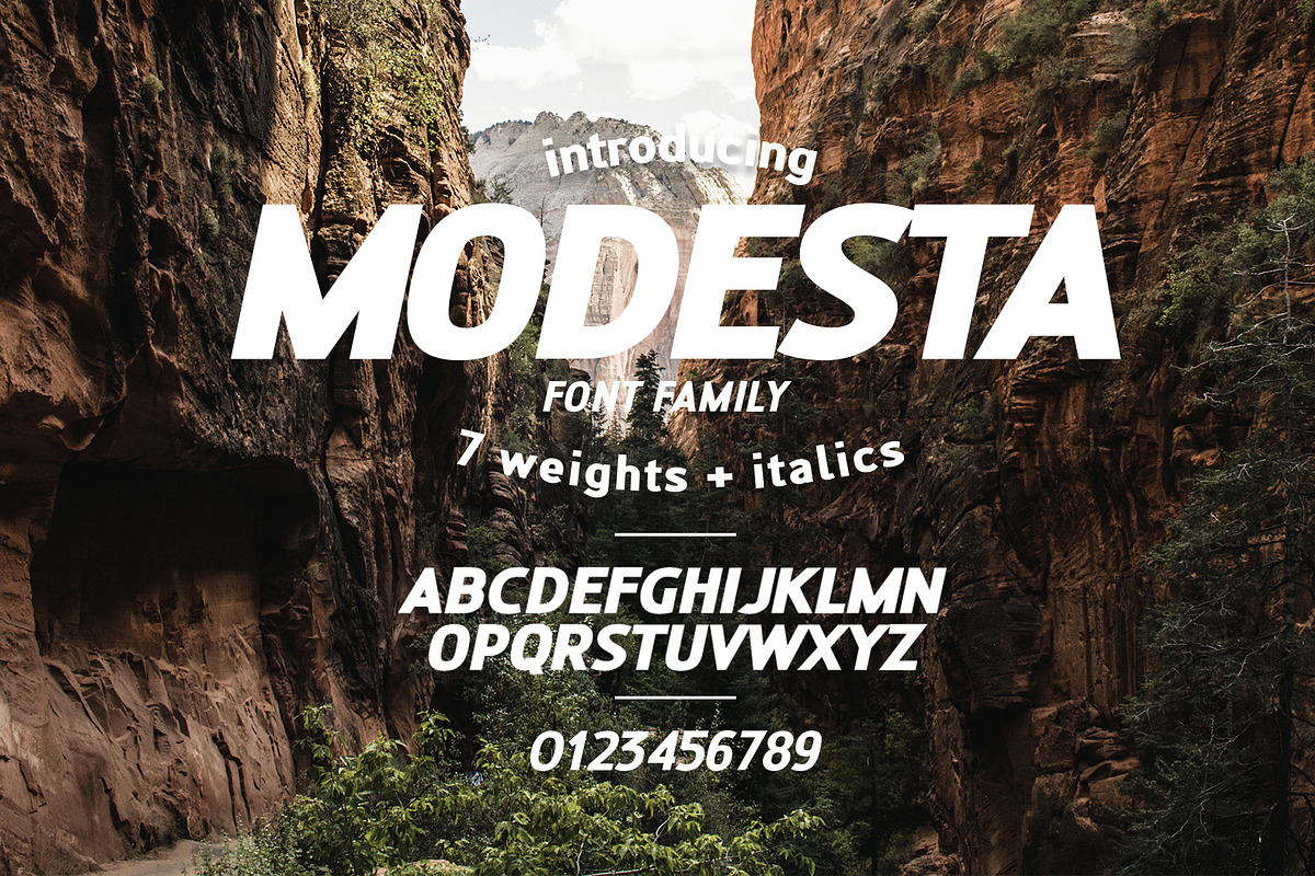 MODESTA SANS - THE NEW BRANDING FONT in Fonts - product preview 8