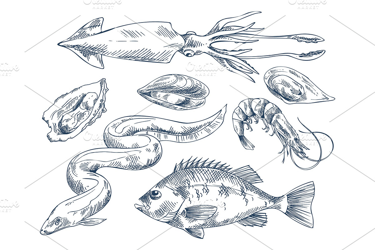 Seafood Vector Monochrome in Illustrations - product preview 8