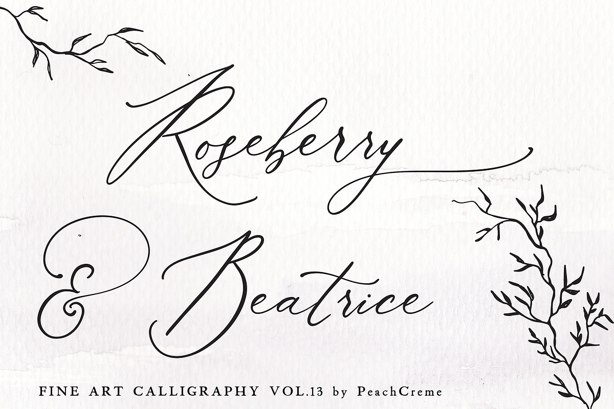 Roseberry & Beatrice Vol.13 in Script Fonts - product preview 8