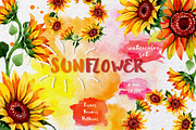 Sunflower PNG watercolor flower set