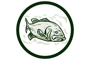 Largemouth Bass Fish Front Side Circ