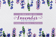 Holiday purple lavender flowers PNG 