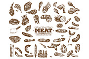 Vector meat food collection 6