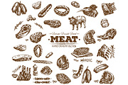 Vector meat food collection 8