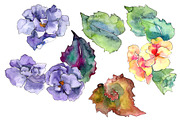 Watercolor gardenia wildflower PNG