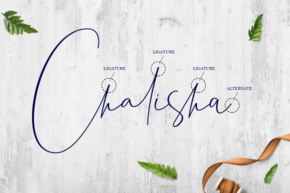 Chalisha Modern Calligraphy in Script Fonts - product preview 7