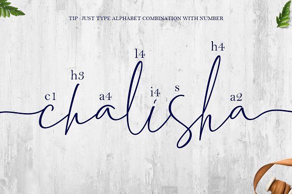 Chalisha Modern Calligraphy in Script Fonts - product preview 8