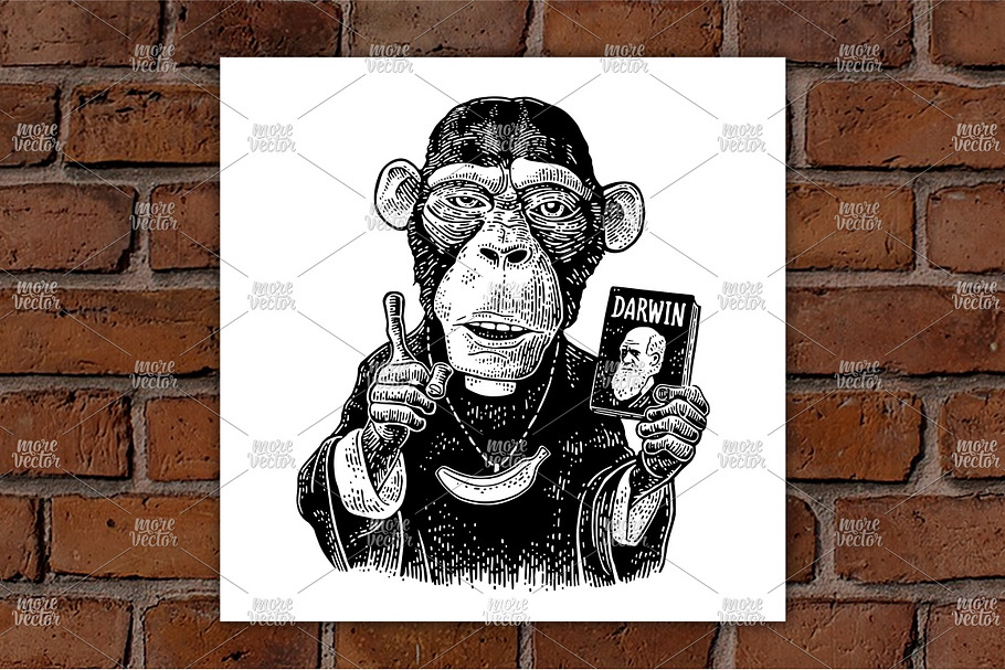 Monkey priest dressed in a cassock in Illustrations - product preview 8