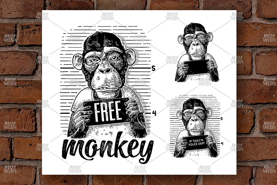 Monkeys police department Engrave in Illustrations - product preview 8