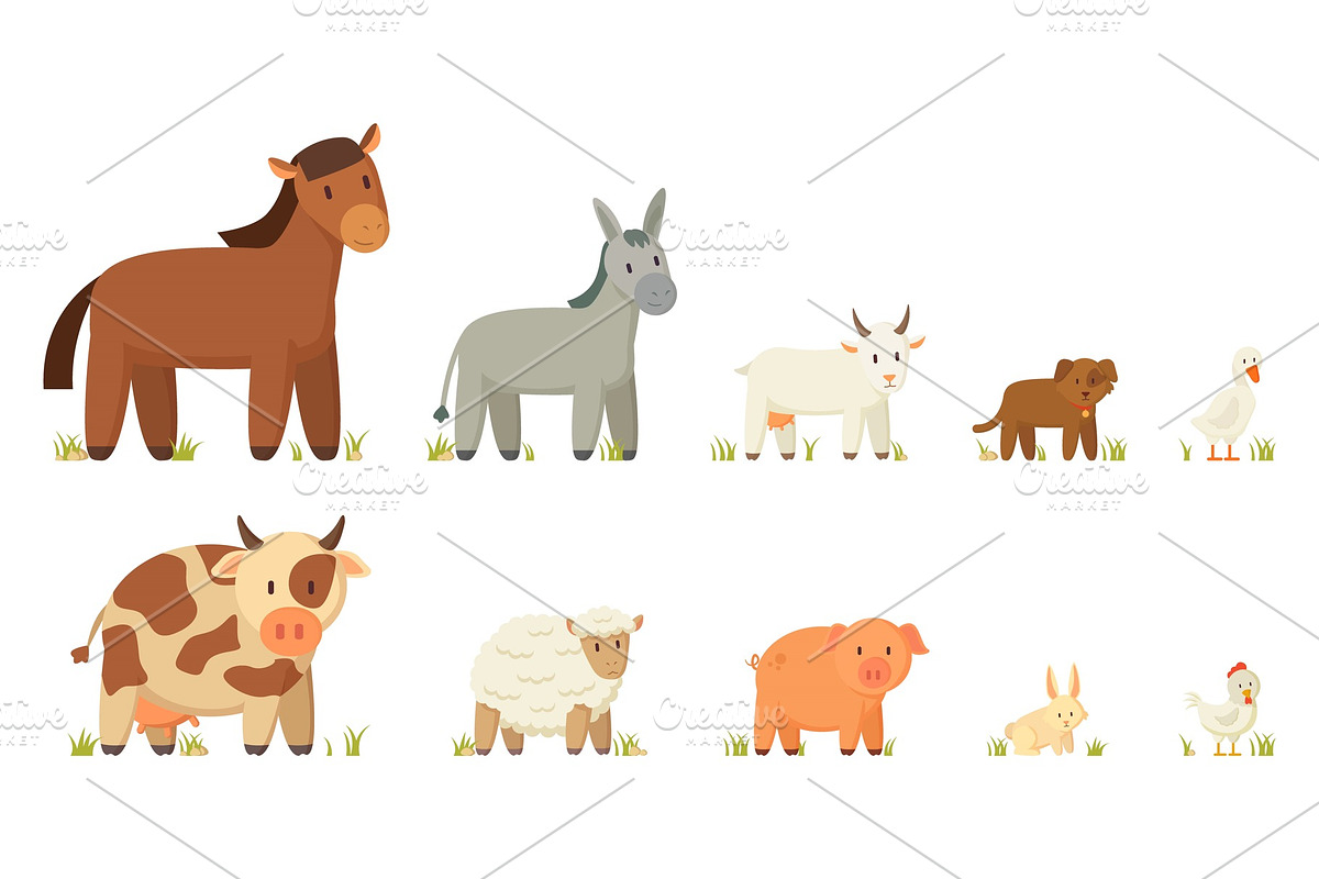 Farm Animals Illustration Set in Illustrations - product preview 8