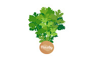 Parsley Poster and Spice, Vector