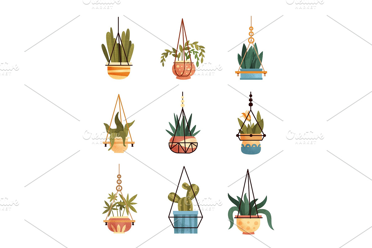 Green hanging indoor house plants in Illustrations - product preview 8