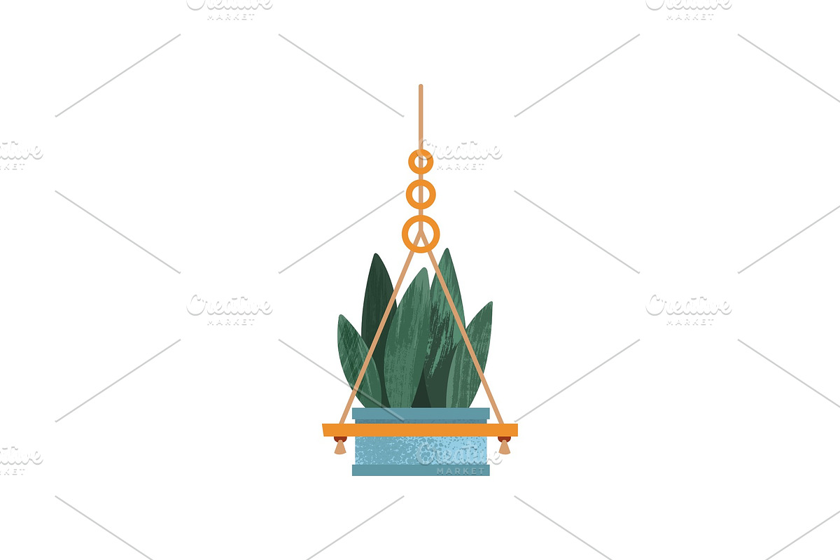 Hanging house plant, elegant home in Illustrations - product preview 8