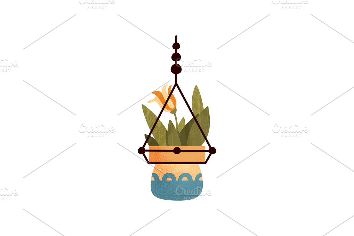 Hanging flowering house plant in Illustrations - product preview 8