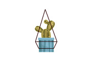 Hanging cactus house plant in a pot