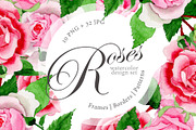 Pink roses PNG watercolor design set