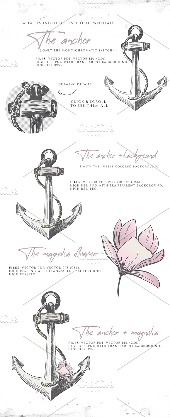 VINTAGE ANCHOR with magnolia flower in Illustrations - product preview 1