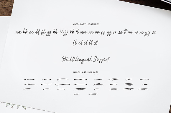 Nicollast Handwritten Brush Font in Script Fonts - product preview 9