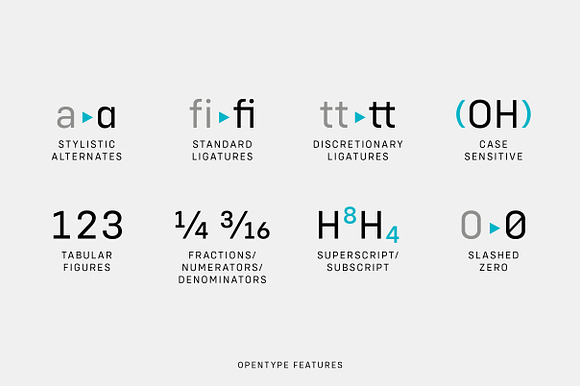 Config Complete Font Family in Professional Fonts - product preview 16