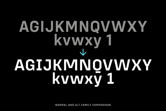 Config Complete Font Family in Professional Fonts - product preview 17