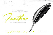 VINTAGE FEATHER