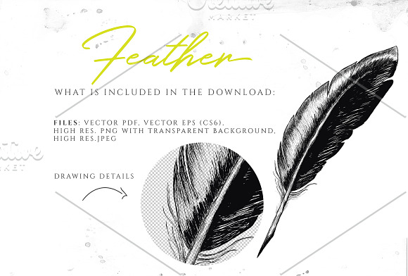 VINTAGE FEATHER in Illustrations - product preview 1