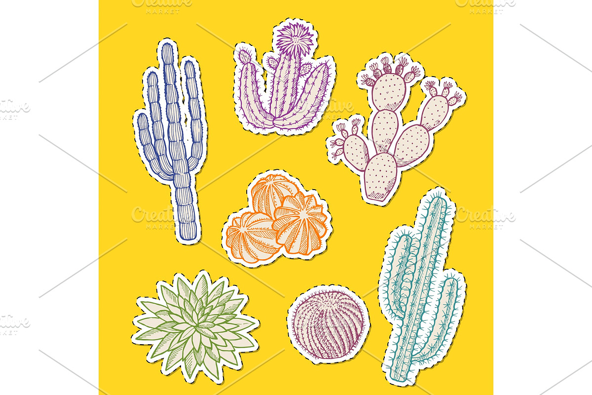 Vector hand drawn desert cacti in Graphics - product preview 8