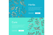 Vector hand drawn medical herbs web