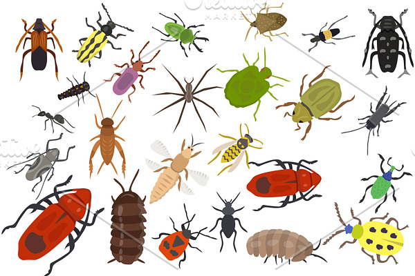 60 Insects Vector Icons