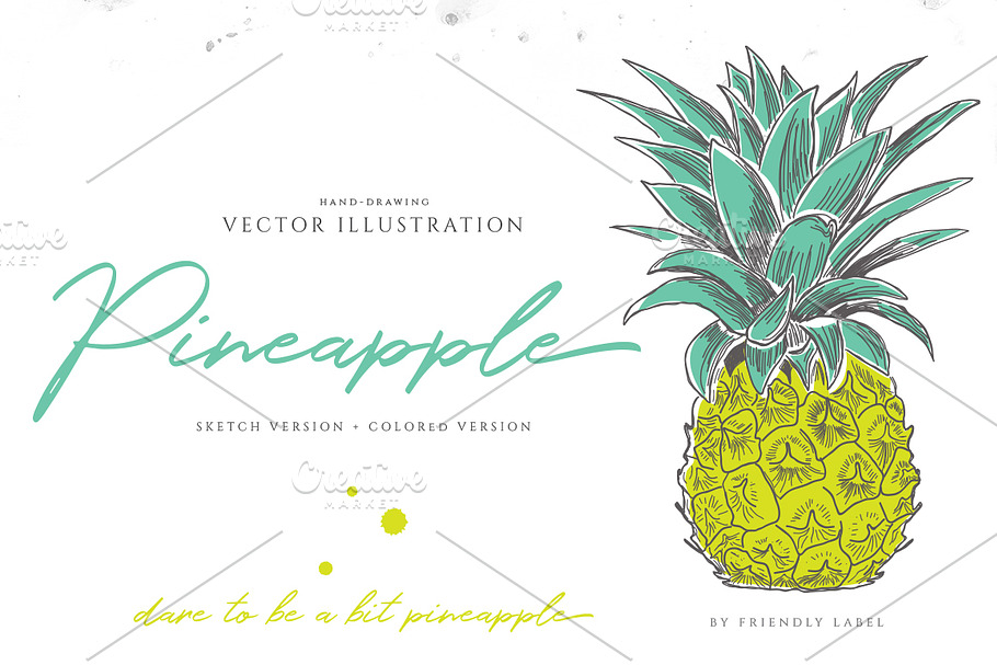 PINEAPPLE hand-sketched plus colors in Illustrations - product preview 8