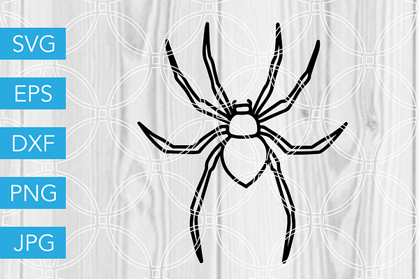 Halloween Spider SVG Cut File