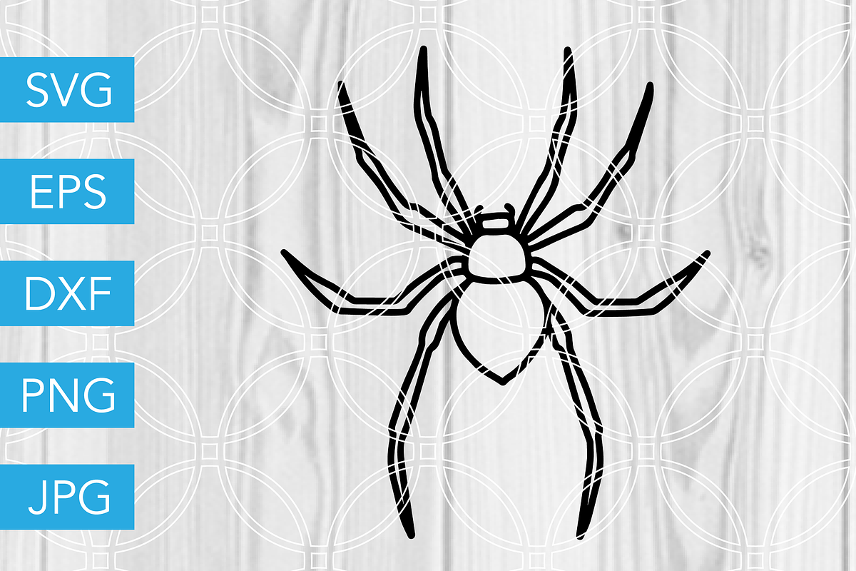 Halloween Spider SVG Cut File in Illustrations - product preview 8