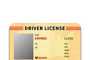 Realistic driver license