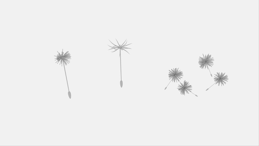 Dandelion Pack in Nature - product preview 3