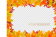 Autumn frame with colorful leaves 