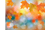 Autumn raindrops background. Vector