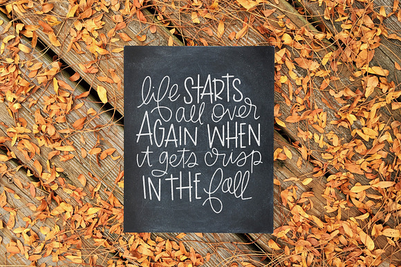 Fall Phrases Font in Symbol Fonts - product preview 7