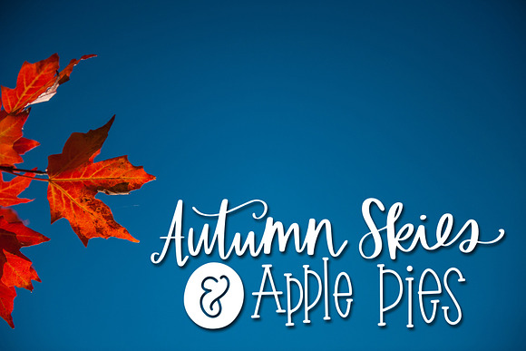 Fall Phrases Font in Symbol Fonts - product preview 11