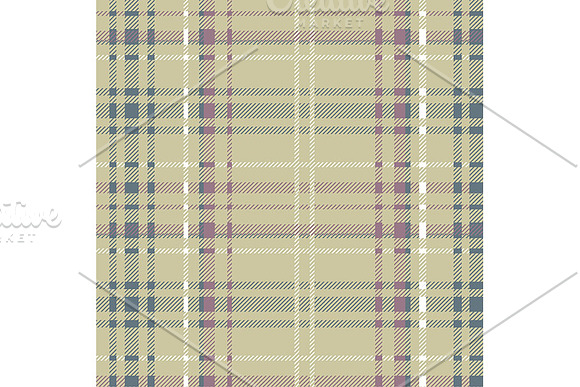 24 Scottish Tartan Patterns in Graphics - product preview 1
