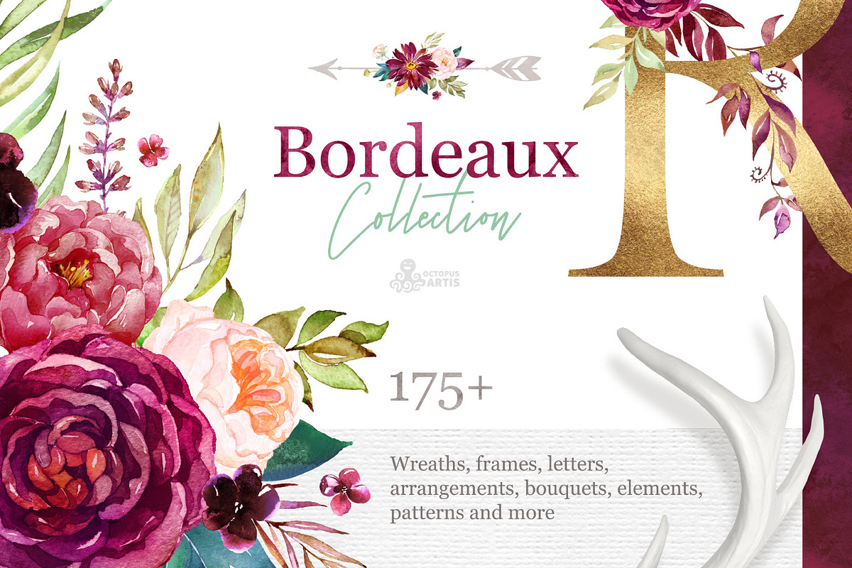 Bordeaux. Vibrant Collection. in Illustrations - product preview 8